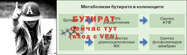 гидра Горнозаводск