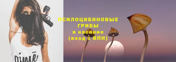 мдпв Аша