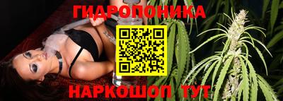 амф Волгодонск