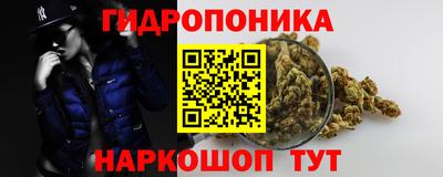 стаф Донской