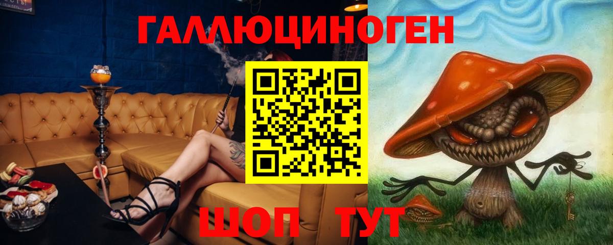 Псилоцибиновые грибы MAGIC MUSHROOMS  Вход с VPN  Карачаевск 